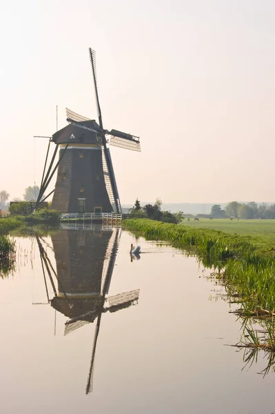 Nederlandse Watermolen Met Reflectie — Stockfoto