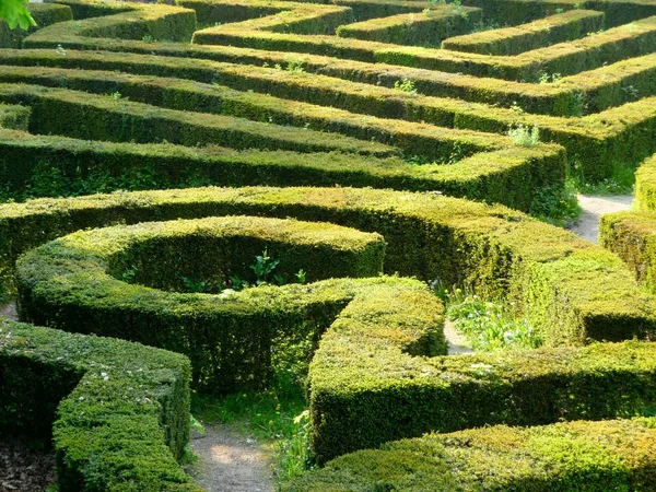 Labirinto Raccolta Sentieri Labirinto — Foto Stock