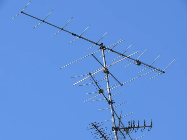 Transmission Kommunikation Kraftledningstorn — Stockfoto