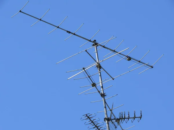 Comunicazione Trasmissione Torre Della Linea Elettrica — Foto Stock