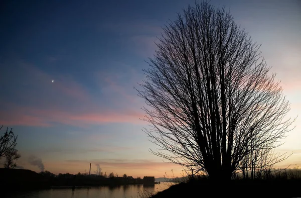 Silhouet Van Een Boom Met Een Zonsondergang Het Meer — Stockfoto