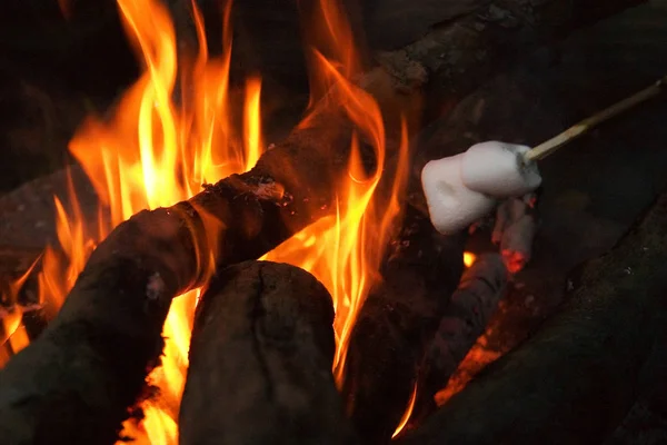 Fire Flame Bonfire Blazing — Stock Photo, Image