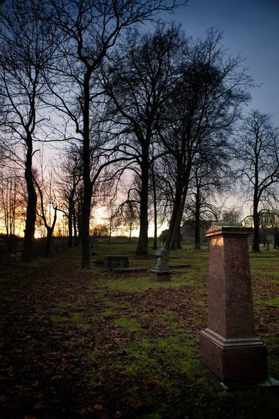 Oude Begraafplaats Het Park — Stockfoto