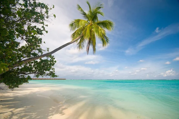 Die Malediven Offiziell Die Republik Malediven Sind Ein Kleiner Inselstaat — Stockfoto