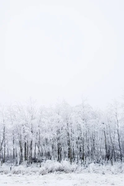 Fundo Colorido Para Natal Ano Novo Cartão Férias — Fotografia de Stock