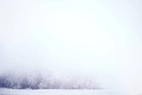 クリスマスや年末年始のカードのためのカラフルな背景 — ストック写真