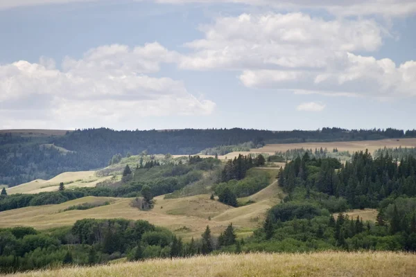 Schöne Natur Malerischer Hintergrund — Stockfoto