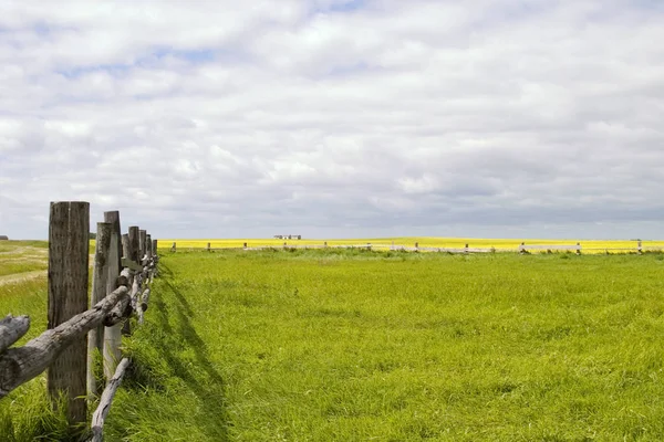 Prairie Τοπίο Fence Line — Φωτογραφία Αρχείου