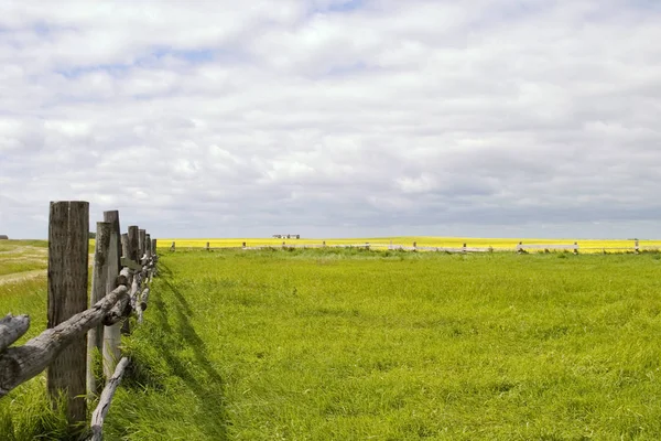 Paisagem Prairie Linha Cerca — Fotografia de Stock