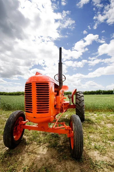 Landschapsbeeld Selectieve Focus Rechtenvrije Stockafbeeldingen