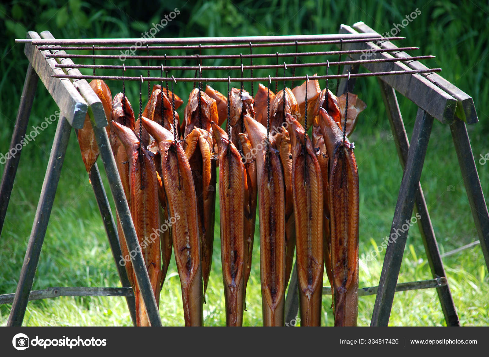 Salchichas Hierba — Foto de stock © PantherMediaSeller #334817420