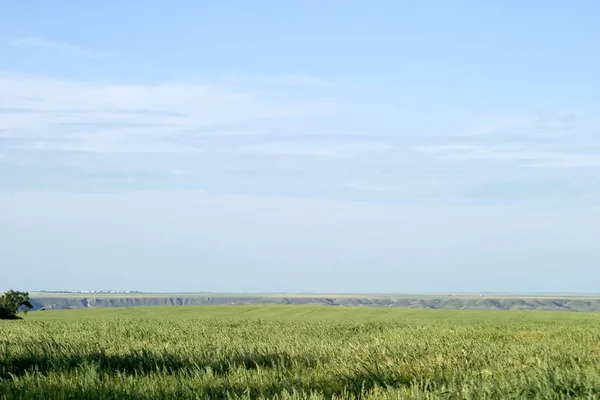 Beautiful View Nature Landscape — Stock Photo, Image