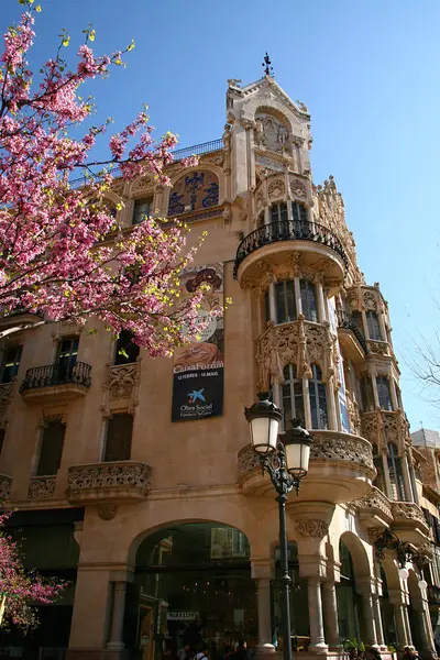 Widok Palma Mallorca — Zdjęcie stockowe