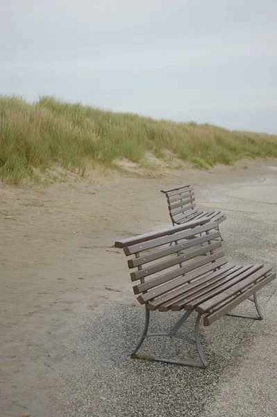 Panoramisch Uitzicht Duinen Selectieve Focus — Stockfoto