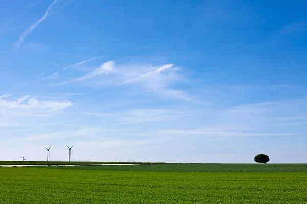 Rüzgar Türbinleri Alternatif Rüzgar Enerjisi — Stok fotoğraf