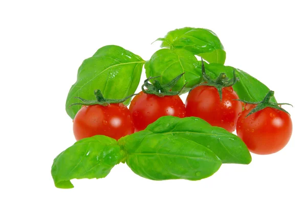 Tomato Basil Tomato Basil — Stock Photo, Image