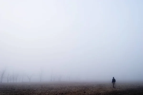 Priveliște Frumoasă Peisajului Naturii — Fotografie, imagine de stoc