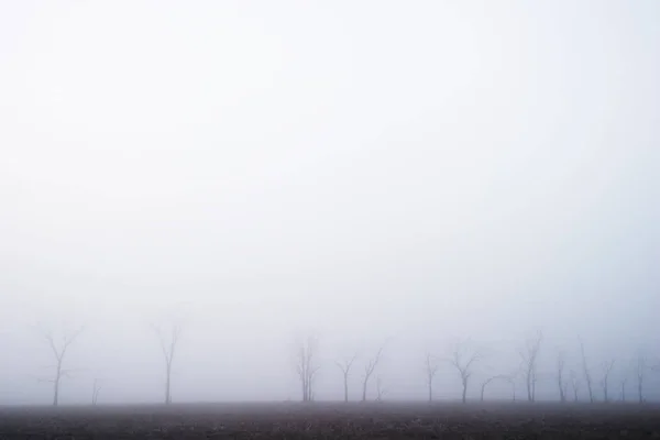 Vacker Utsikt Över Naturen Landskap — Stockfoto