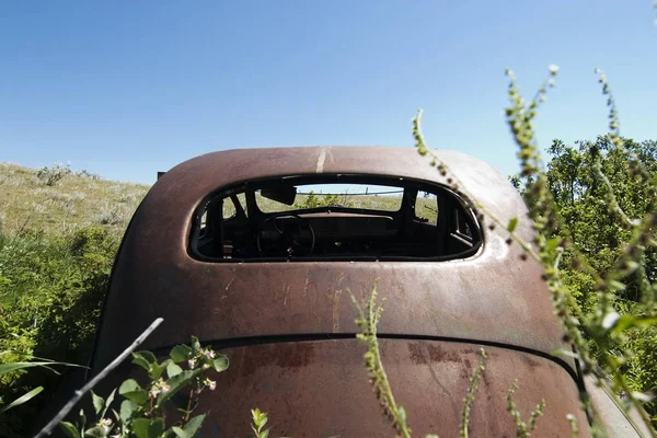 森の中の古い車 — ストック写真