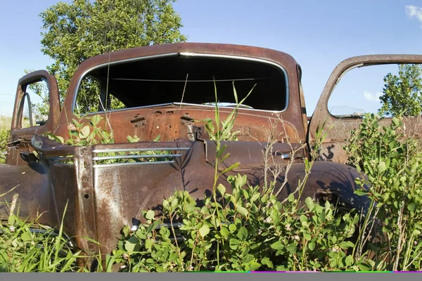 Staré Auto Lese — Stock fotografie