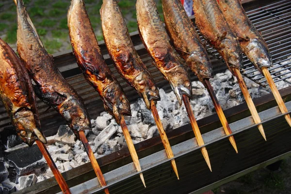 Gegrilde Vis Grill — Stockfoto