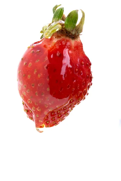 覆有蜂蜜的草莓 — 图库照片