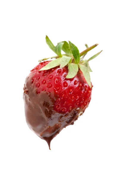 Клубника Шоколадом — стоковое фото