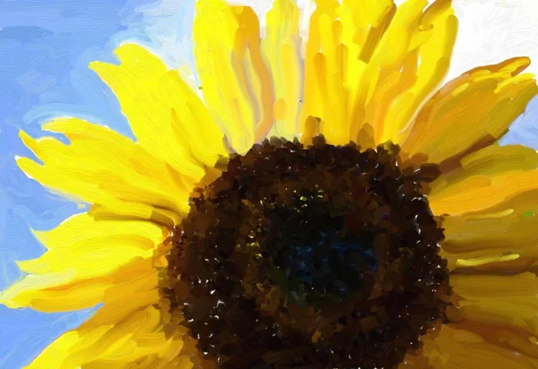 Tournesol Vue Rapprochée — Photo