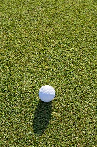 Мяч Гольфа Зеленом Поле — стоковое фото