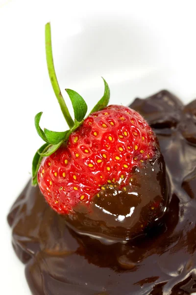 Erdbeere Mit Honig Und Schokolade — Stockfoto