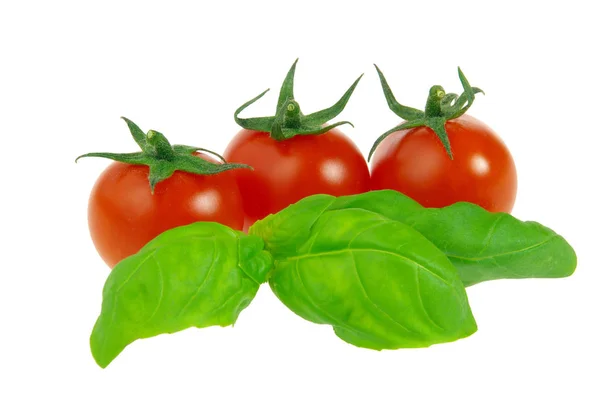 Pomodoro Basilico Pomodoro Basilico — Foto Stock