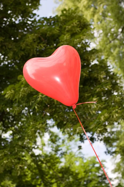 Kleurrijke Achtergrond Voor Valentijnskaart — Stockfoto