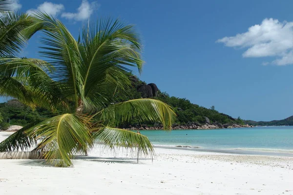 Seychelles Océan Indien Mahe Île Avec Vue Sur Île Eden — Photo