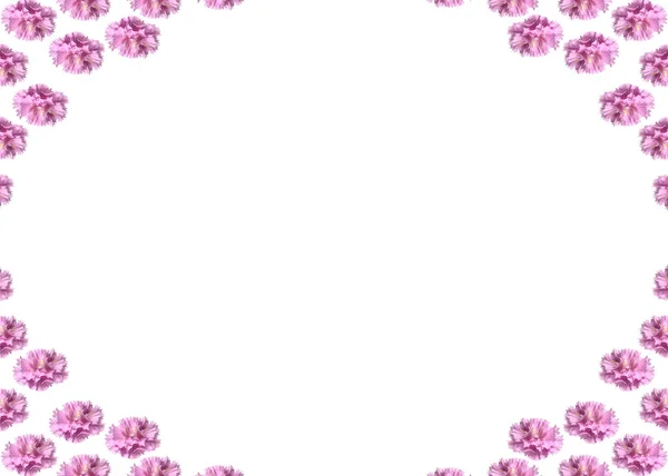 Blüte Blumen Blumigen Hintergrund — Stockfoto