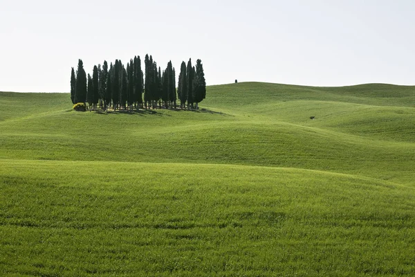 Región Toscana Italia Central — Foto de Stock