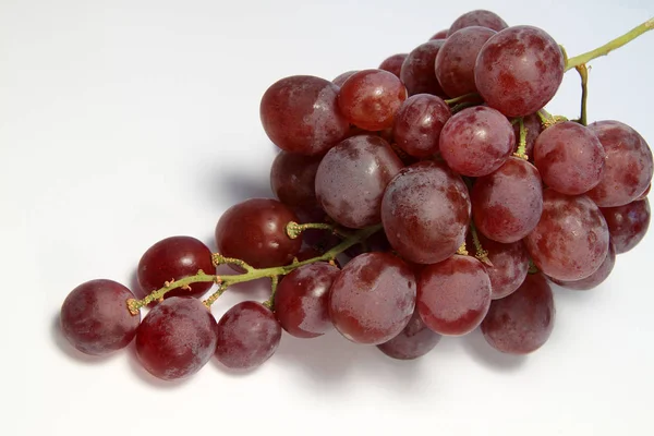 Trossen Druiven Zoete Fruitbessen — Stockfoto