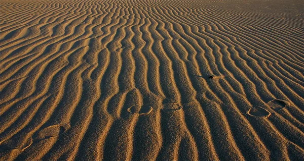 Sand Dunes Desert — Stock Photo, Image