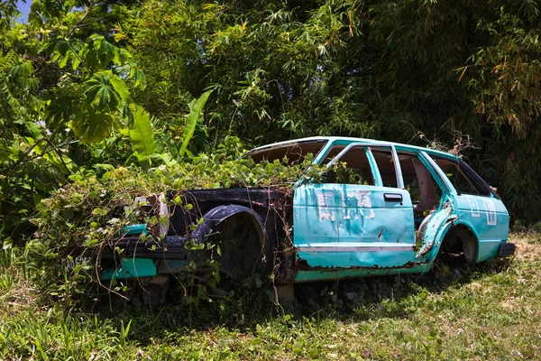 Oude Auto Het Bos — Stockfoto