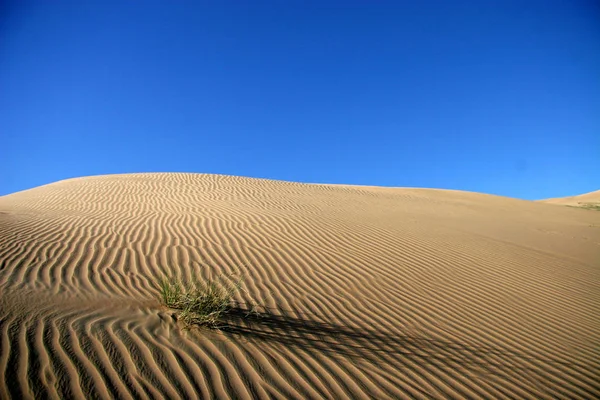 Desierto Arena Paisaje Dunas — Foto de Stock