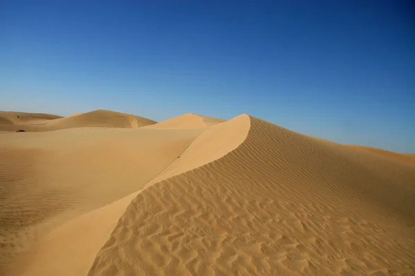 Піщана Пустеля Дюн Ландшафт — стокове фото