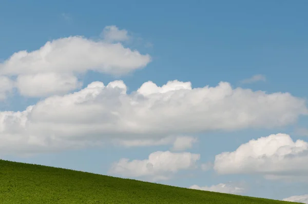 Doğanın Güzel Manzarası — Stok fotoğraf