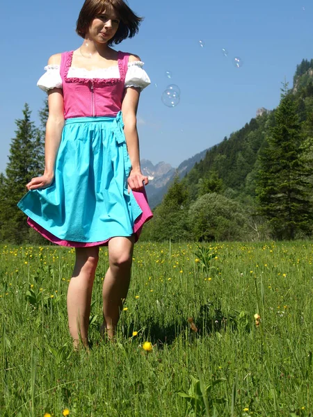 Malerischer Blick Auf Die Schöne Alpenlandschaft — Stockfoto