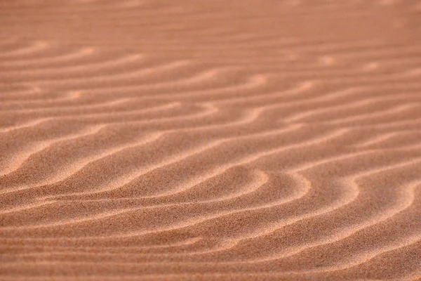 Desierto Arena Paisaje Dunas — Foto de Stock