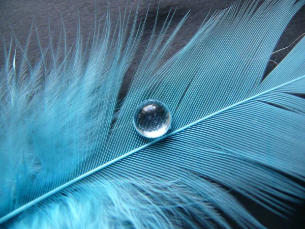 Caneta Azul Com Grandes Gotas Água — Fotografia de Stock