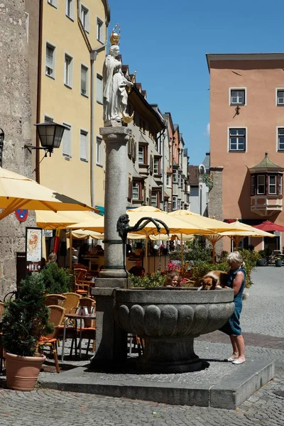 Landleben Selektiver Fokus — Stockfoto