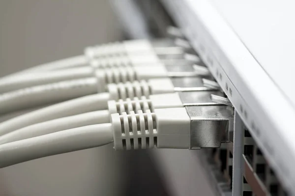 Netzwerkkabel Mit Einem Switch Verbunden — Stockfoto