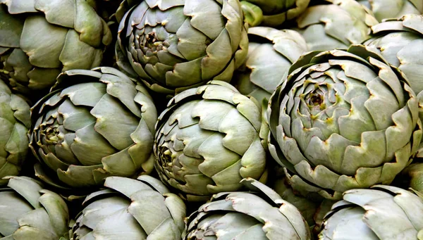 known as a vegetable: the lower,fleshy parts of shed leaves and the flowers are edible soil. the artichoke was founded in 2003 but also voted medicinal plant of the year. along with various herbs is also from artichokes since 1953 in padu