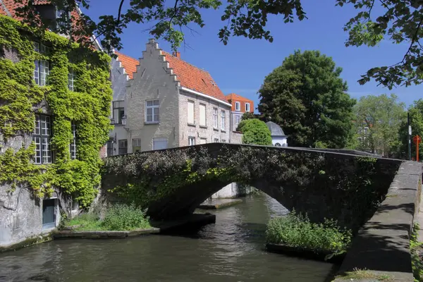 Schilderachtig Uitzicht Prachtige Middeleeuwse Architectuur — Stockfoto