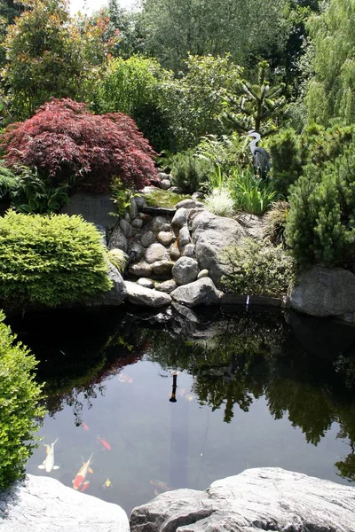 美丽的带有池塘的花园 — 图库照片