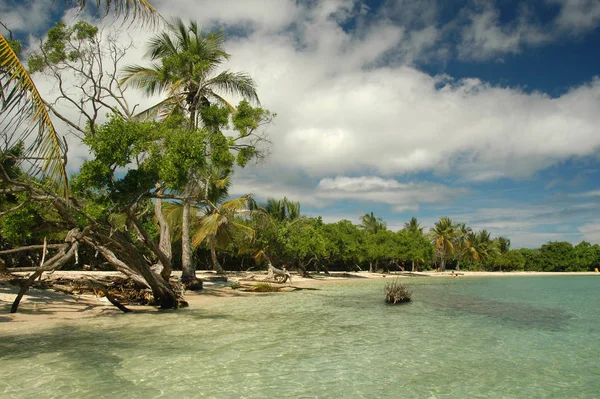 Vista Panorámica Playa Ensueño — Foto de Stock